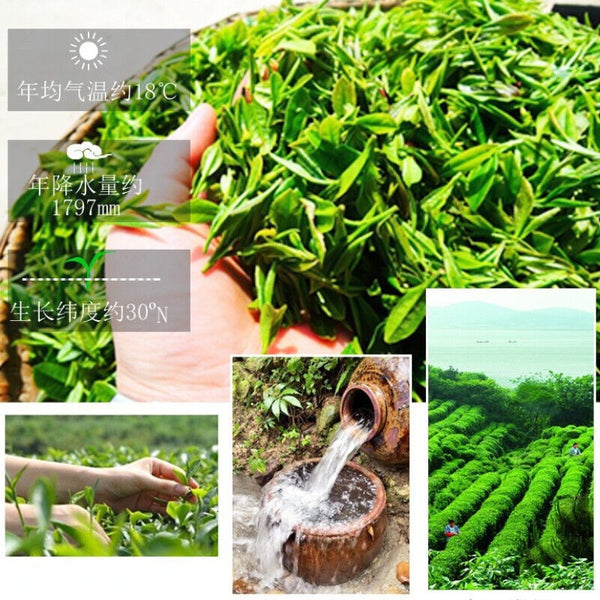 HelloYoung High Quality Gift Tea Slimming Tea Health Care Biluochun Green Tea Chinese 250g