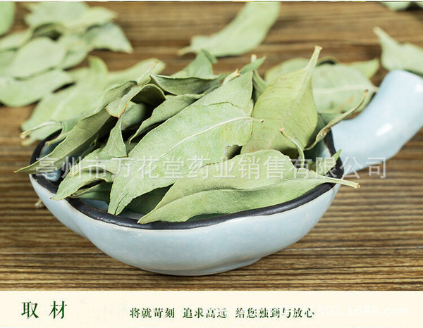 Apocynum Venetum Leaf Chinese Herbal Tea Health Tea