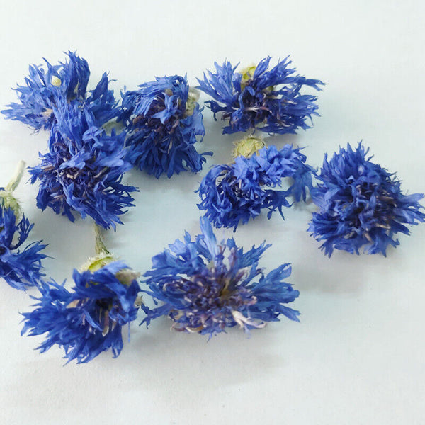 HelloYoung Cornflower petals new stock cornflower dried flowers bulk cornflower 17.6oz