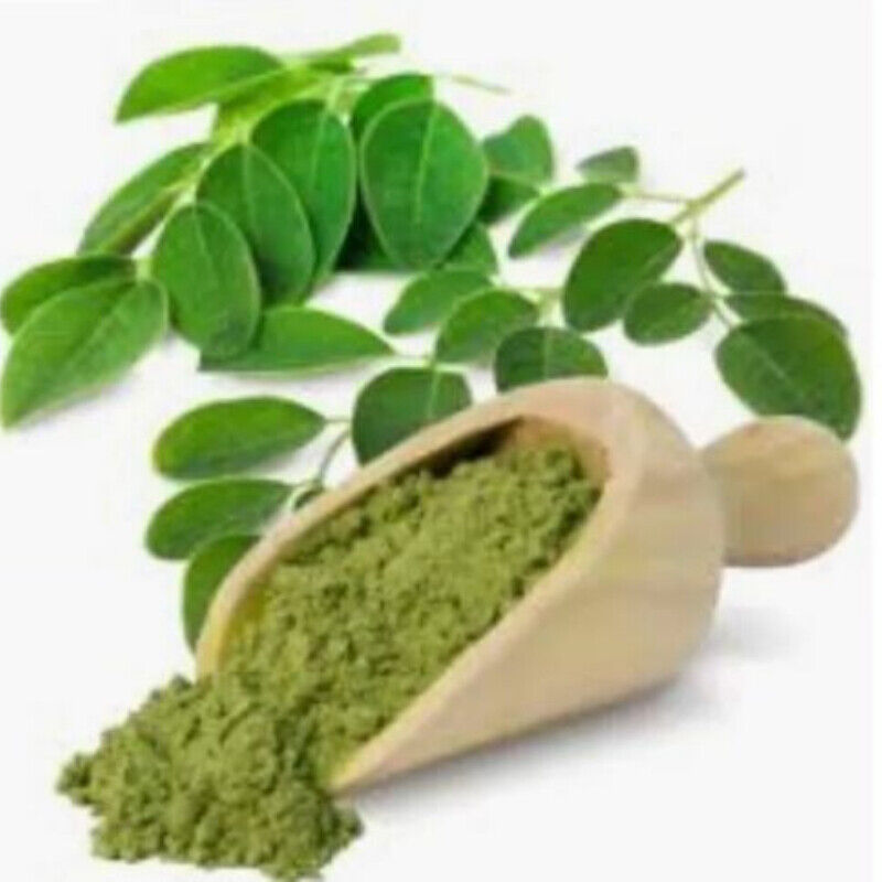 MORINGA OLEIFERA Leaf Powder - 250g - Premium Quality - 100% Certified Organic Main image