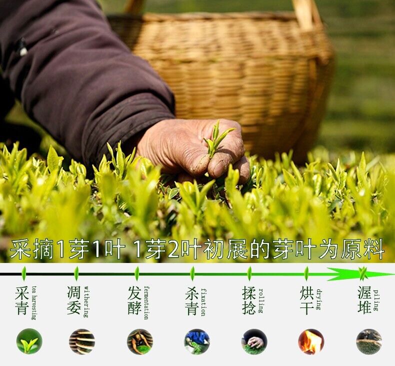 HelloYoung Biluochun New Tea Suzhou Dongting Biluochun Tea Leaves Spring Tea Green Tea 250g