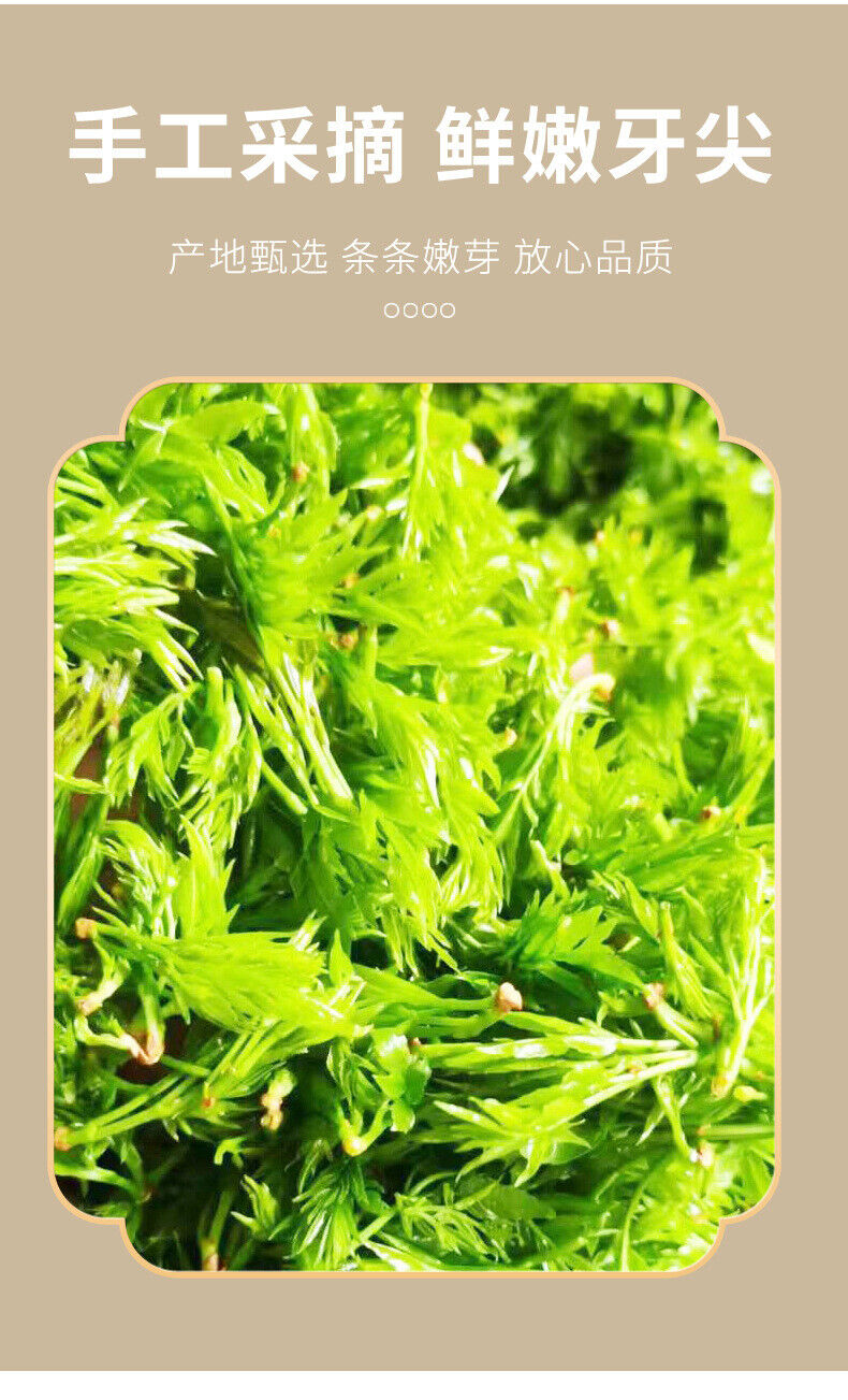 Zhangjiajie Berry Tea Canned Tujia Meoyan Tea Tips and Vine Tea