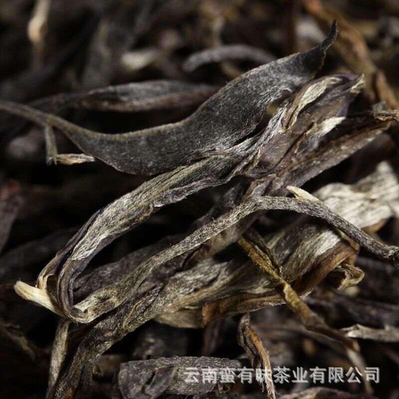 Yunnan Puerh Tea, Qiaomu Tea Spring Tea 500g Main image