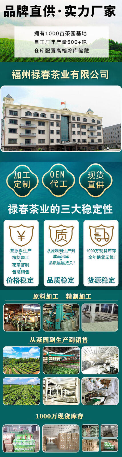 HelloYoung Fujian High Mountain Cloud Green Tea New Tea Biluochun Qingxiang Mao Jian