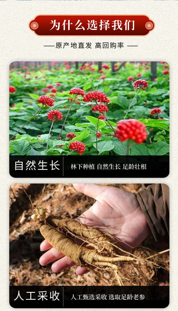 Genuine American Ginseng Powder Ultra-fine Powder Premium Ginseng Herbs 200g