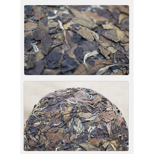 Fuding White Tea Shou Mei Tea Cake Gift Tea 100g*3 Alpine Sun Date White Tea