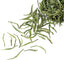 100g Emei High Mountain Spring Zhu Ye Qing Bamboo Loose Leaf Chinese Green Tea