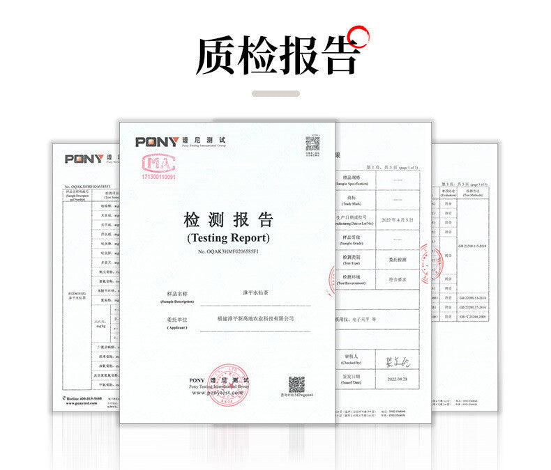 High Altitude Floral & Milky Aroma Oolong Tea Fujian Zhangping Shui Xian Tea