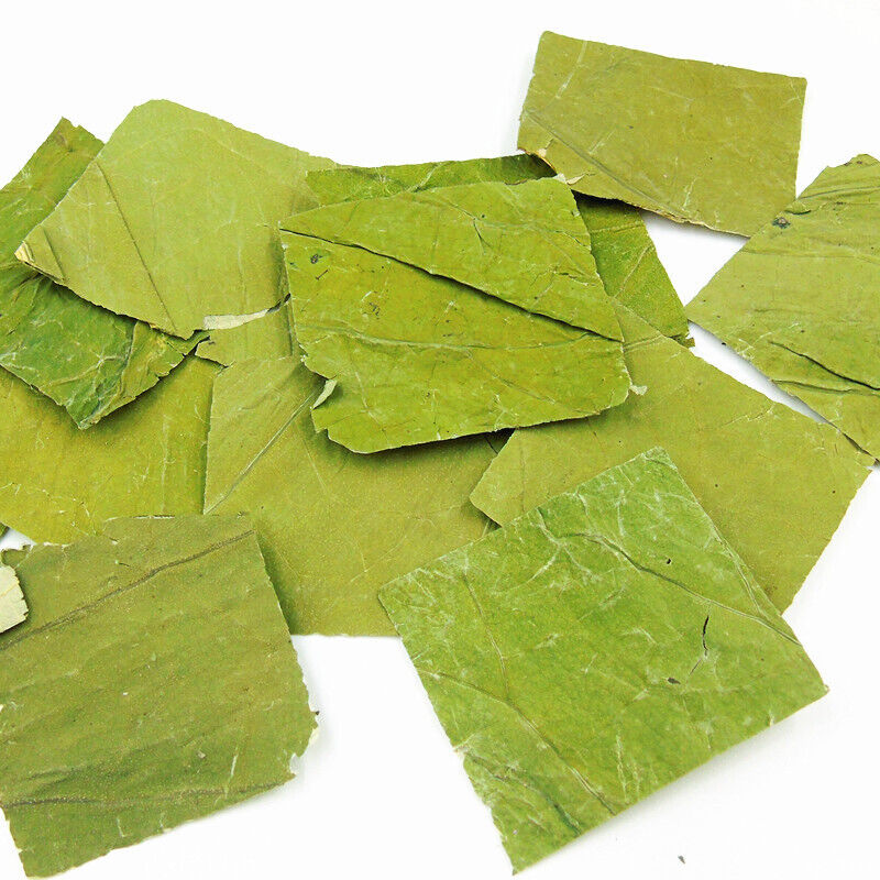HelloYoung lotus leaf flakes lotus leaf shreds lotus leaf granules lotus leaf tea 17.6oz