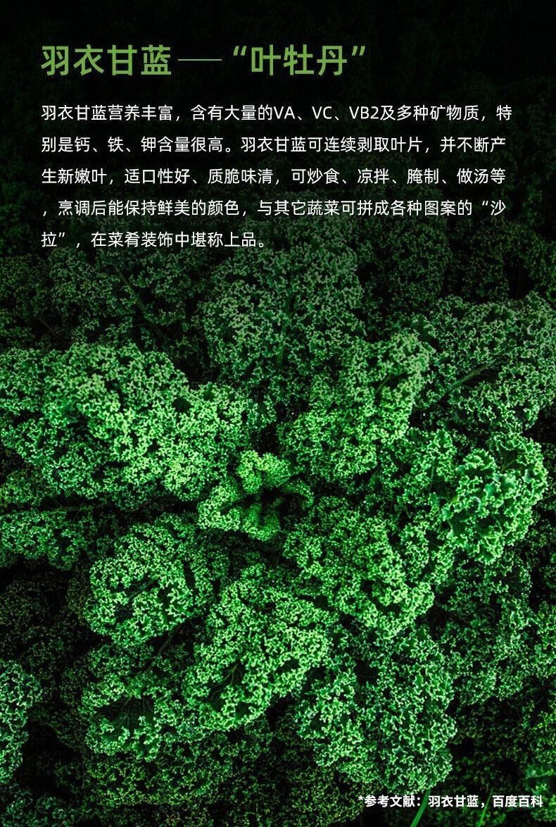 Kale Powder Probiotics Barley Green Juice Dietary Fiber Vegetable Powder 45g