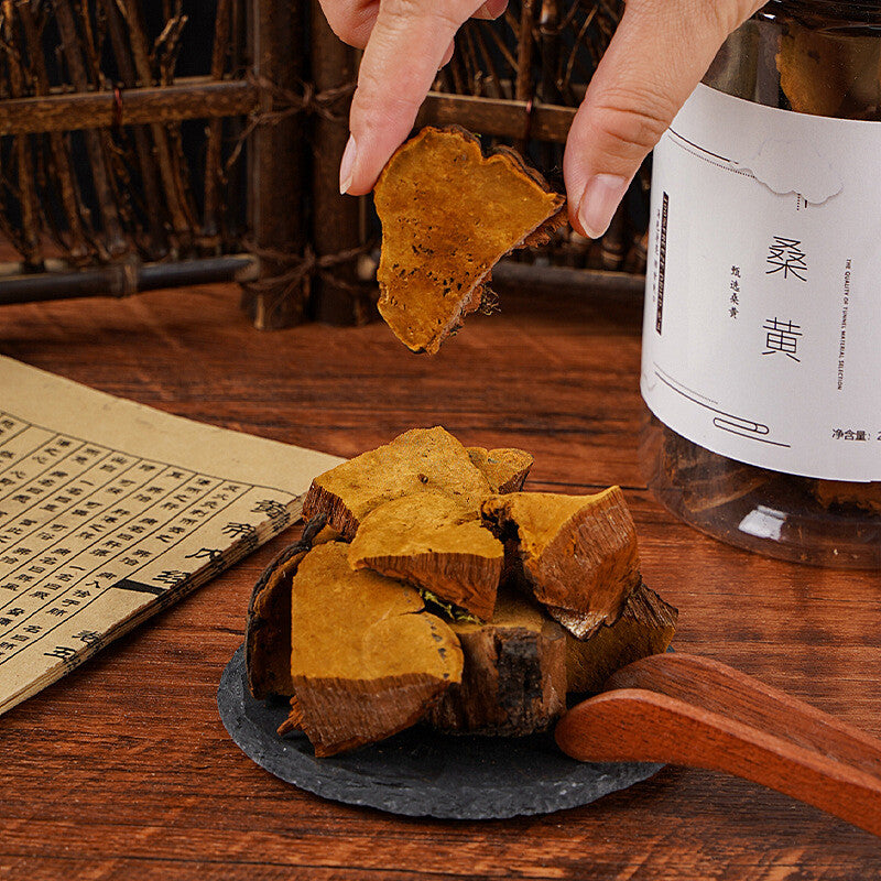 SANGHUANG Phellinus Linteus Phellinus Maulbeere Natürlich, biologisch 桑黄 200g