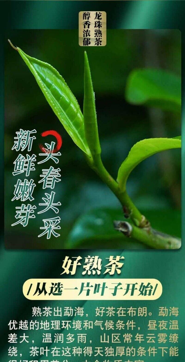 Chen Xiang Brown Ripe Tea Longzhu Puerh Tea Ripe Tea Palace Puerh Small Tuo Tea