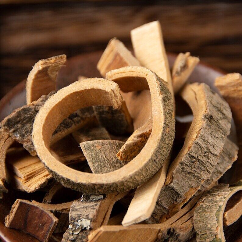 Dried Fraxini Cortex, Cortex Fraxini, Fraxinus Rhynchophylla Hance, Qin Pi