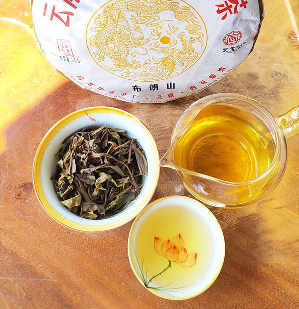 HelloYoung Yunnan Menghai Pu'er Tea Brown Mountain Early Spring Arbor Pu'er Raw Tea Cake