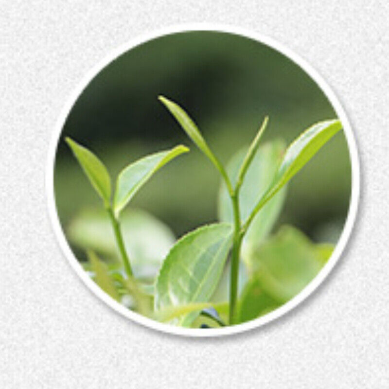 HelloYoung 100g White Tea Yunnan White Peony Tea Cakes High Quality Moonlight Chinese Tea
