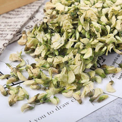 Organic High Quality Pagodatree Flower Bud Flos Sophorae Immaturus Flower Tea