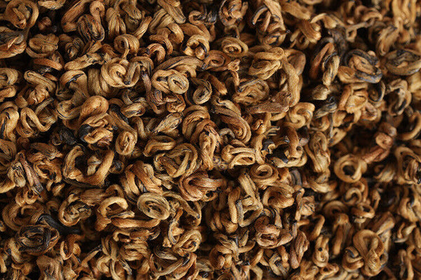 HelloYoung 500g Yunnan black tea Fengqing Dian Hong Jin Luo (No. 2) early spring tea