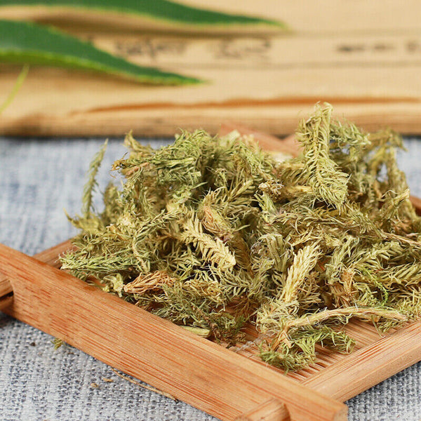 HelloYoung 500g Shenjincao Healthy Herbal Tea Top Quality Healthy Drink Shujincao 精选伸筋草 舒筋草