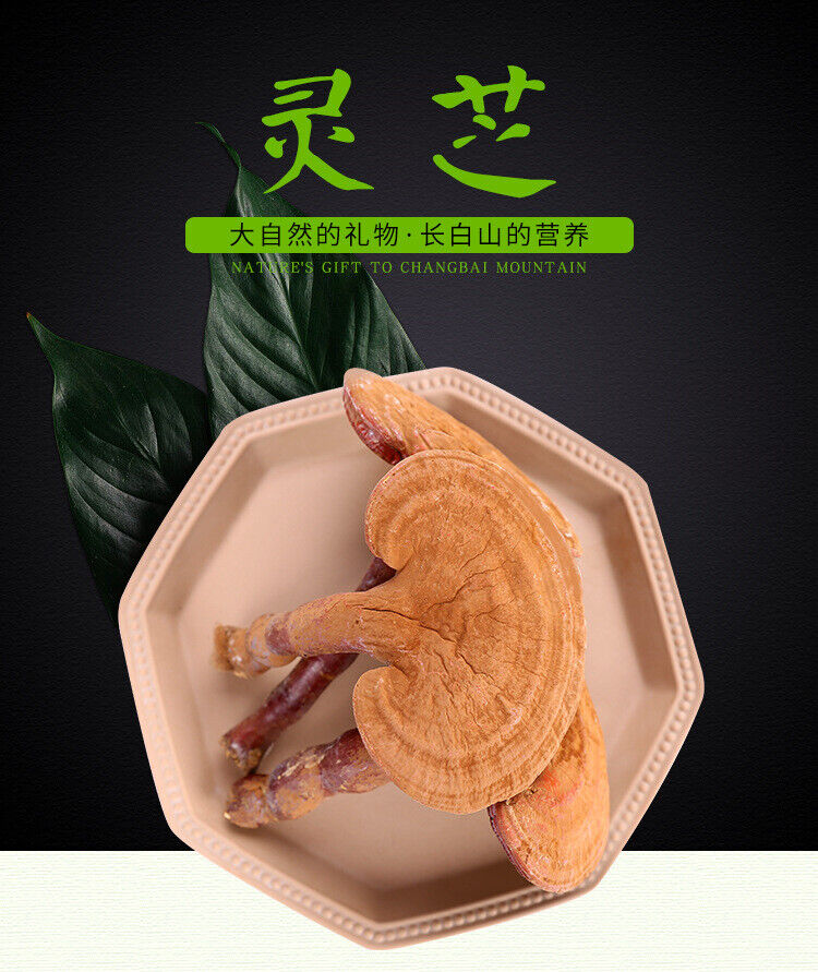 Changbai Mountain Lingzhi Tablet Red Ganoderma lucidum Wood Ganoderma lucidum