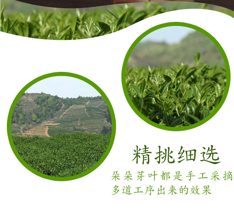 Medium Roast Loose Leaf Gift Box Chinese Rock Tea Wuyi Dahongpao Oolong Tea