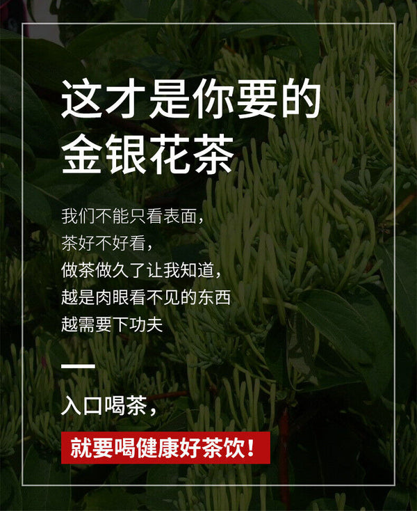 Canned Flower Tea 30g Ying Song Tang Honeysuckle Tea Healthy Drink