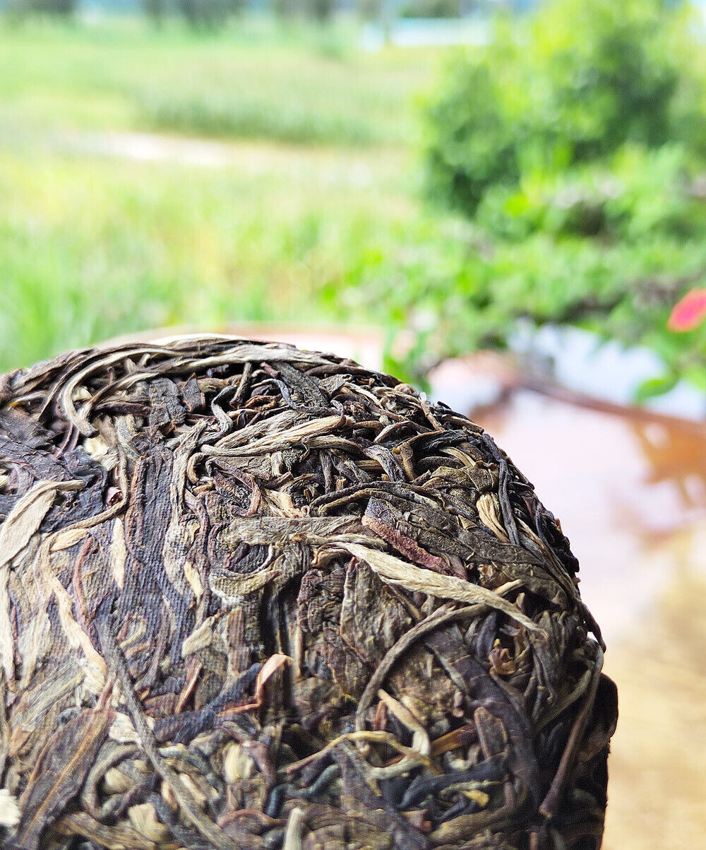 HelloYoung 100g Icelandic Pu'er Tea, Yunnan Mengku Old Tree Cake Spring Pu'er Tea