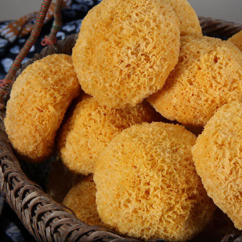 HelloYoung Snow Fungus Ball Edible Mushrooms Good for Health Great Tremella Fuciformis 100g