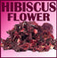 Organic HIBISCUS FLOWER Dried Herb Herbal Tea - 100g - QUICK POST