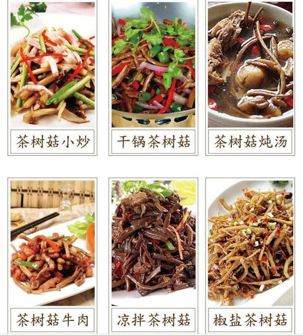 250g Dried Agrocybe Aegerita Natural Tea Tree Mushrooms Plant Mushrooms Fungus