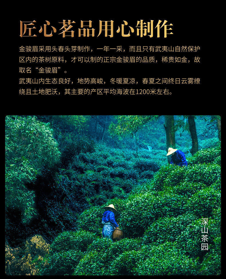 HelloYoung Golden Jun Mei Black Tea Special Grade Wuyi Strong Fragrance Honey Fragrance Tea