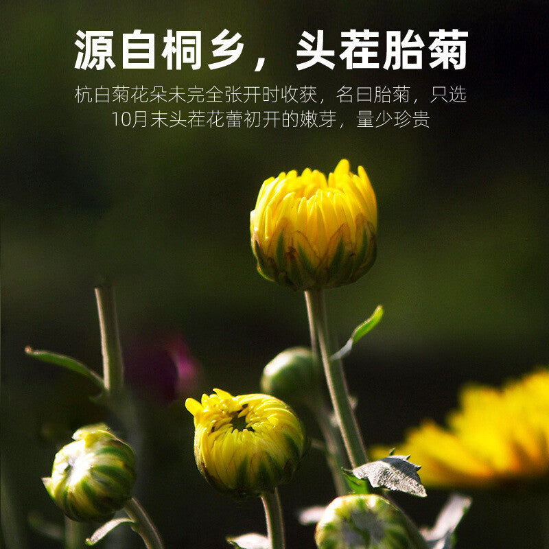 35g High Quality Chrysanthemum Tea Healthy Drink 胎菊 35g 菊花茶