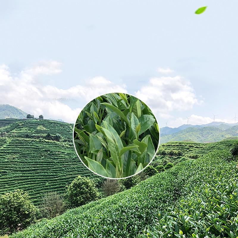 2023 Taiwan Oolong Tea Flower Fragrance Oolong Loose Leaf Tea Gift Packing 150g