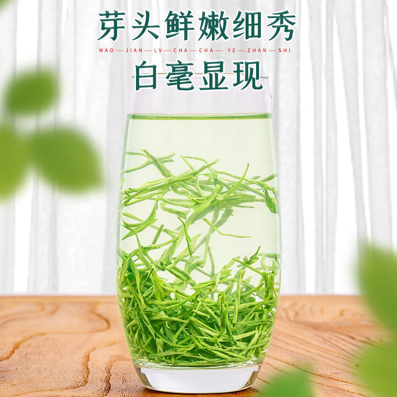 Green Tea Maojian Tea Strong Aroma High Mountain Mist Green Tea Canned 125g