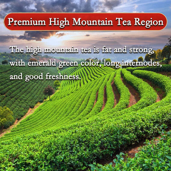 New Tea Taiwan Milk Favor Oolong Tea Jinxuan Natural Milky Oolong Tea 250g