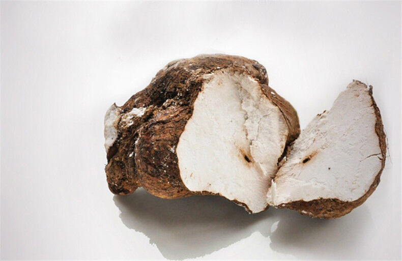 Premium Traditional Herbs Poria Coco Fuling Tuckahoe Pure Organic Extract Powder Secondary image