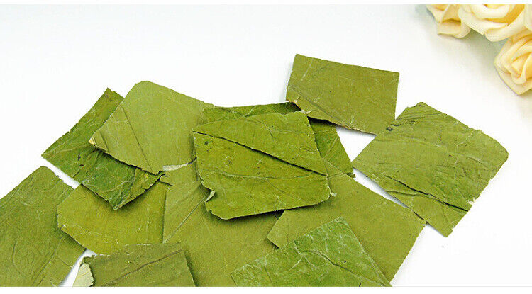 HelloYoung lotus leaf flakes lotus leaf shreds lotus leaf granules lotus leaf tea 17.6oz