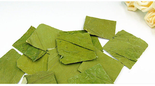 HelloYoung lotus leaf flakes lotus leaf shreds lotus leaf granules lotus leaf tea 17.6oz