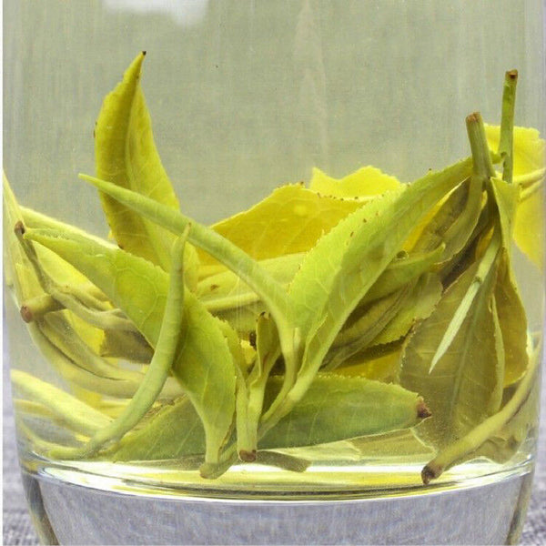 HelloYoung Dong ting Biluochun Top Fragrant Spring Canned green biluochun spring tea 150g