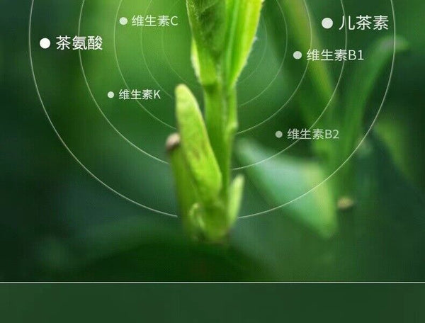 HelloYoung 300g Fuding white tea white peony tribute eyebrow shoumei flower fragrance