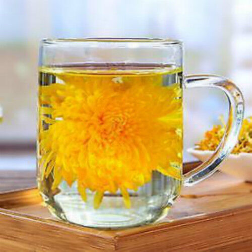 Organic Gold Huang Ju 4 Pcs Large Chrysanthemum Flower Tea Herbal Tea in Summer Secondary image