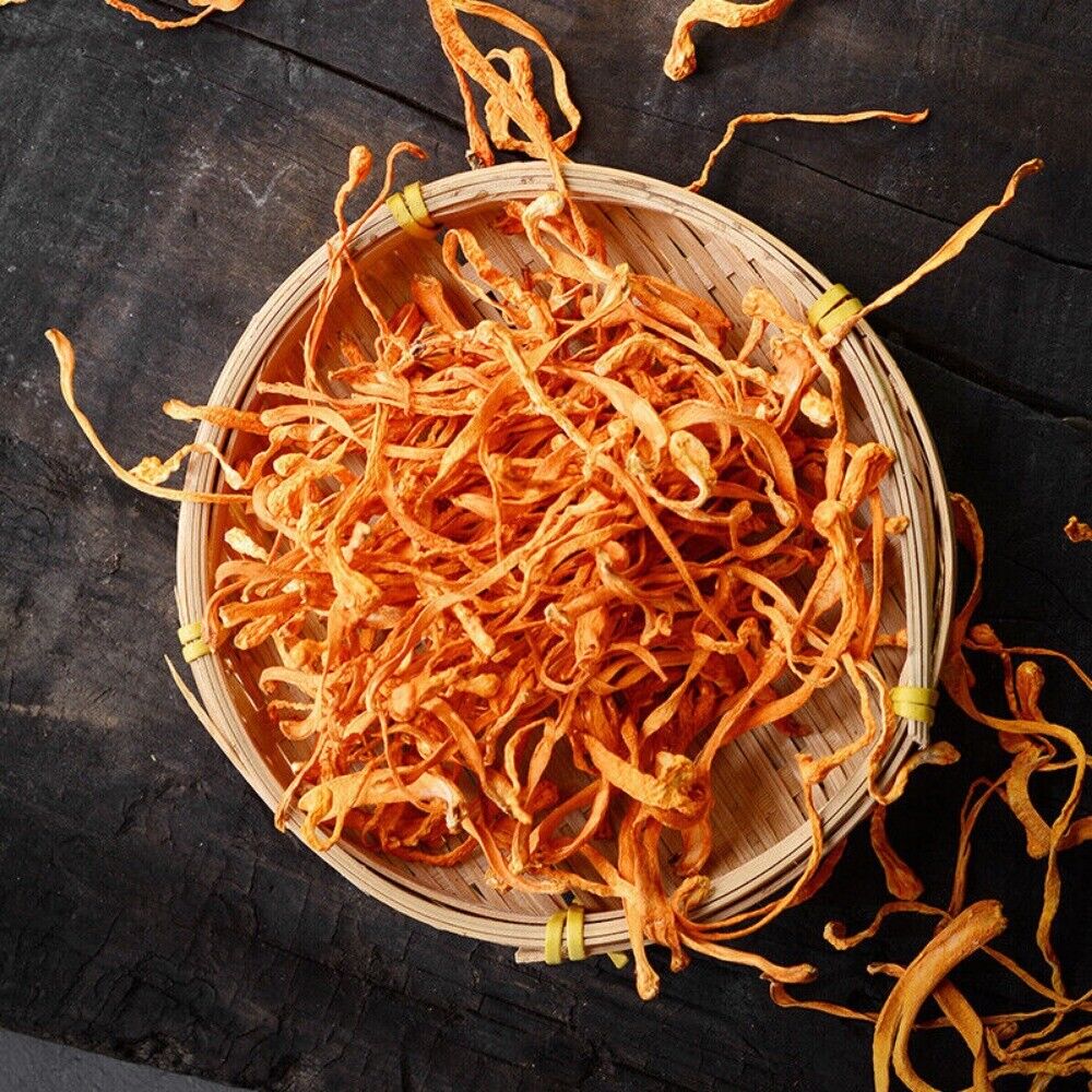 Cordyceps Militaris Flower 50-500g Chinese Herbal Premium Natural Specialty