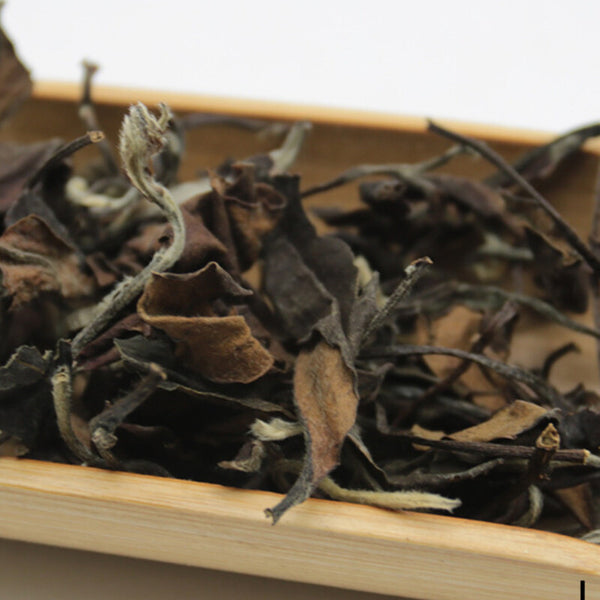 TemuTea 500g Fuding White Tea Healthy Drink Gaoshan Bulk Date Aroma Shoumei White Tea