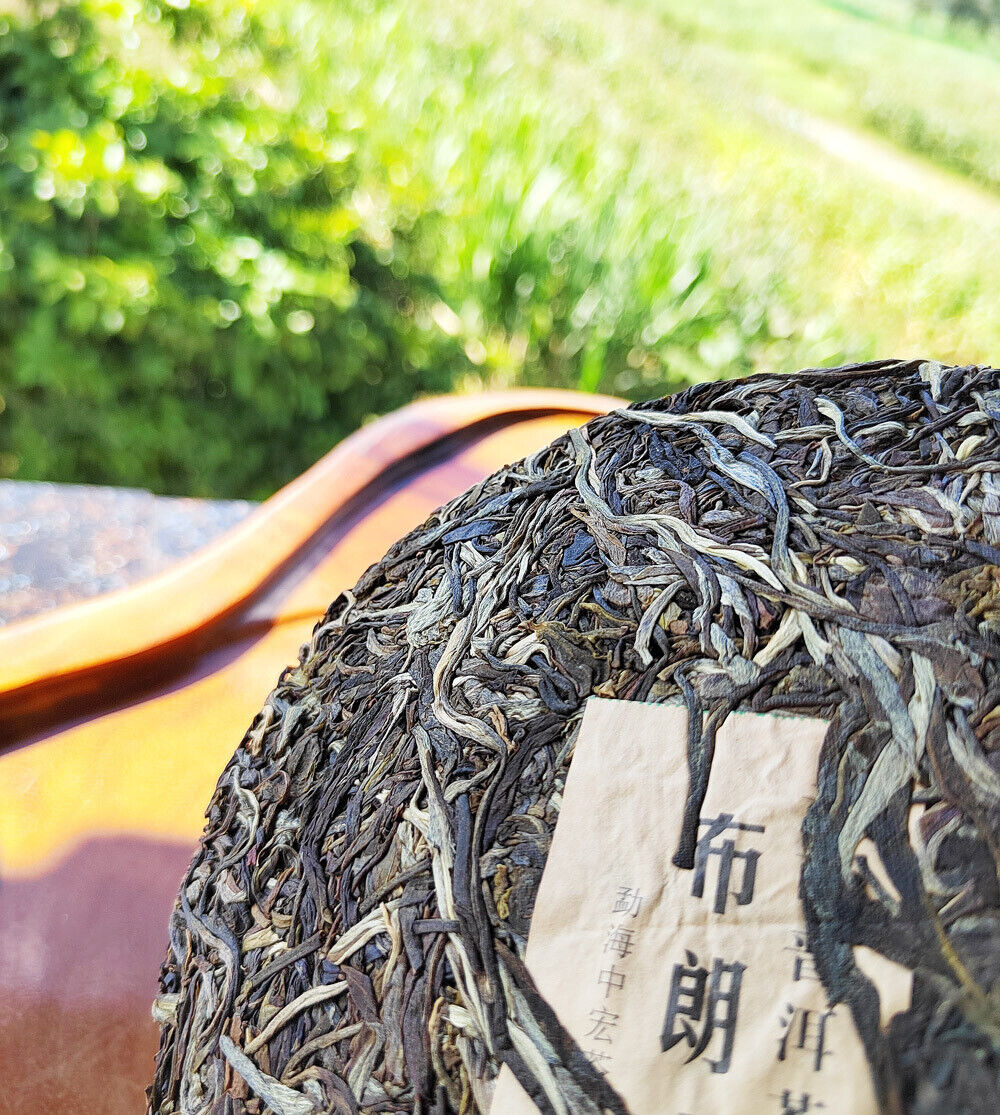 HelloYoung Yunnan Menghai Pu'er Tea Brown Mountain Early Spring Arbor Pu'er Raw Tea Cake