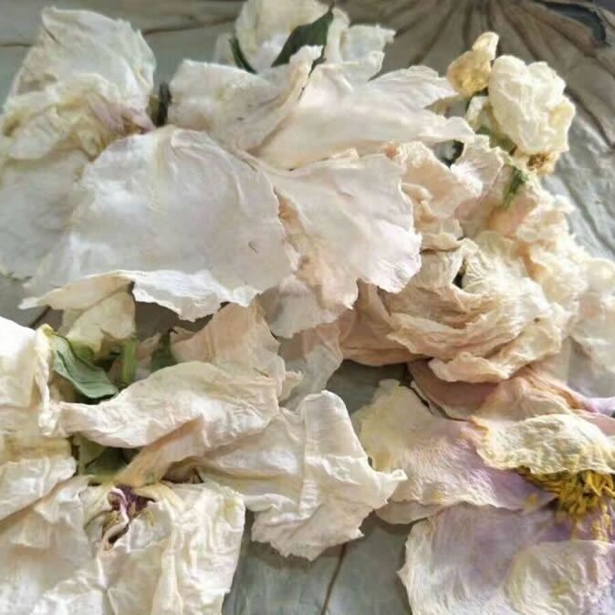 Peony Flower Dried White Peony Flower Petals Whole Secondary image