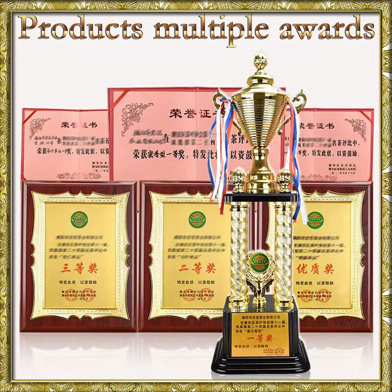 Jin Xuan Milk Oolong Tea Loose Leaf - Taiwan Alishan High Mountain Leaves 250g