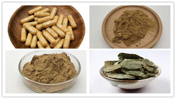 High Quality Epimedium Extract Powder with Free Sample 250g