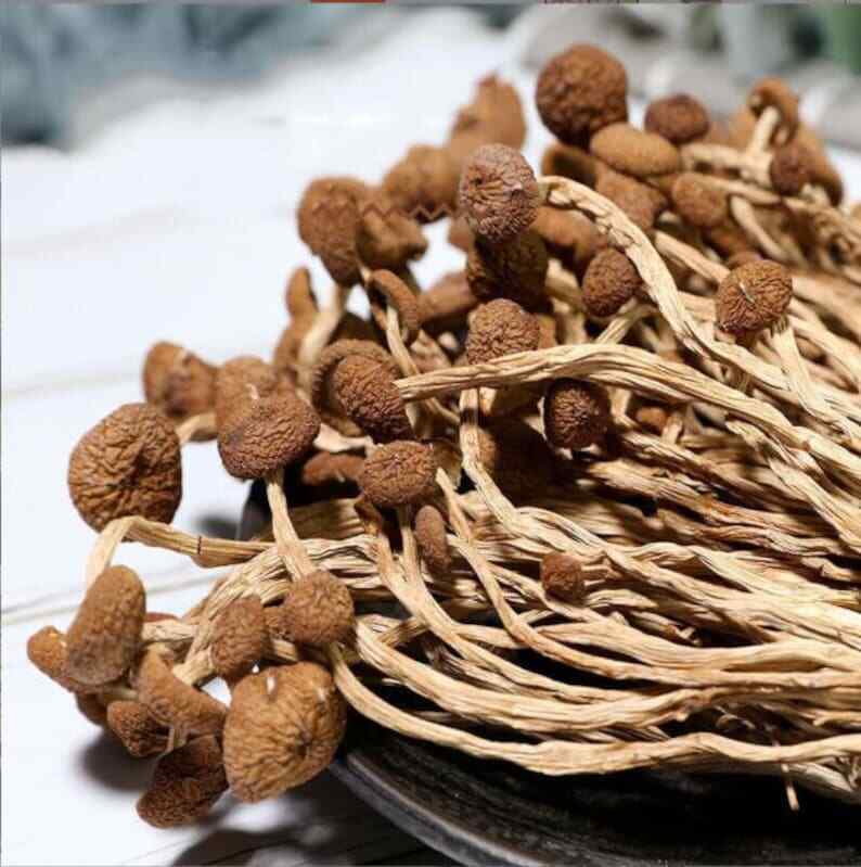 250g Dried Agrocybe Aegerita Natural Tea Tree Mushrooms Plant Mushrooms Fungus Main image