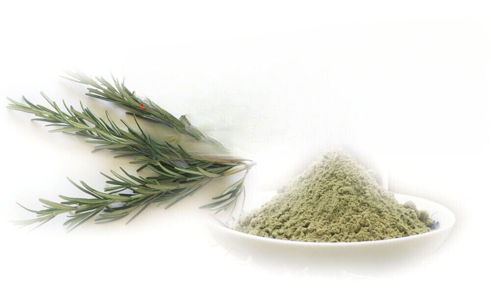 HELLOYOUNG Premium Rosemary Powder (Ground) - Fresh Green Main image