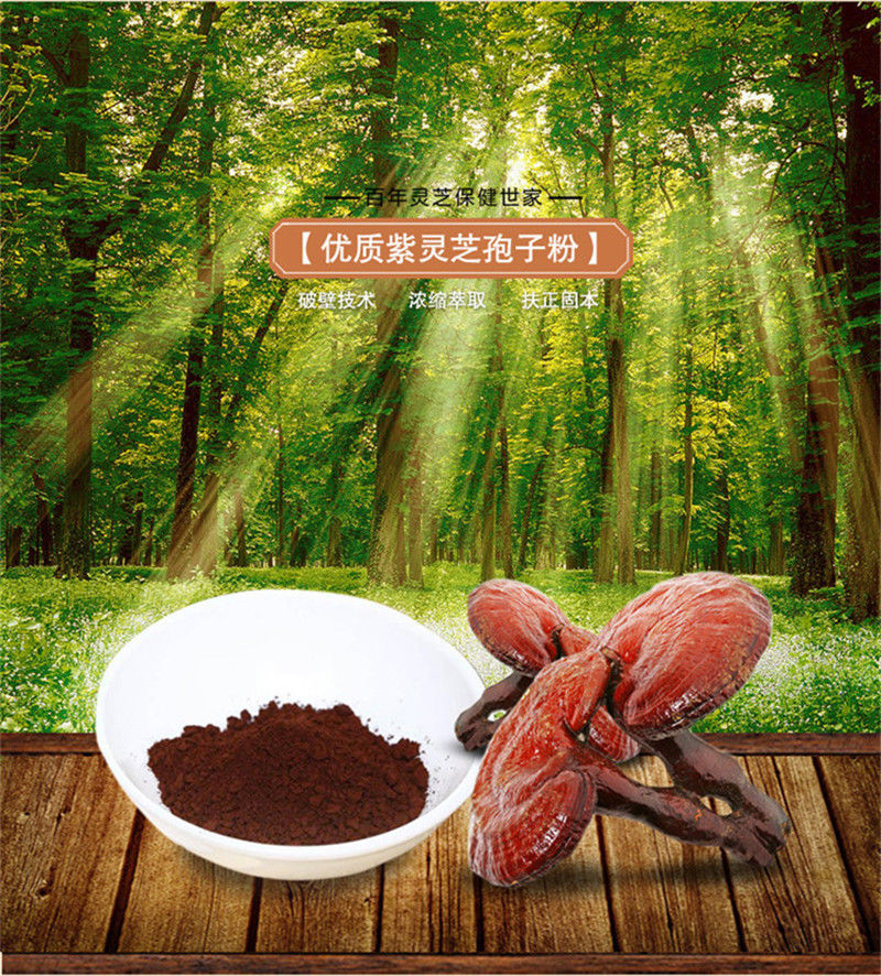 HelloYoung500g Chinese Ganoderma Lucidum Lingzhi Tea Wild Reishi Spore Powder Herbal Tea