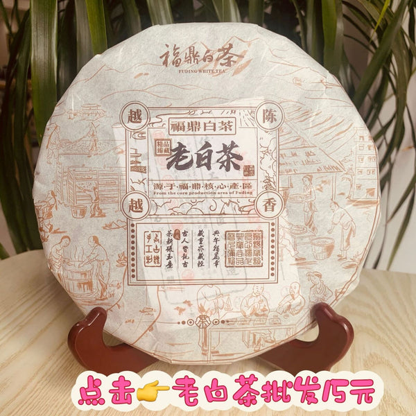 HelloYoung 400g Fuding high mountain white tea Longzhu old white tea Shoumei tea